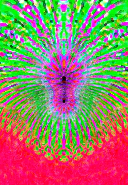 Warp Experiment Project (6)